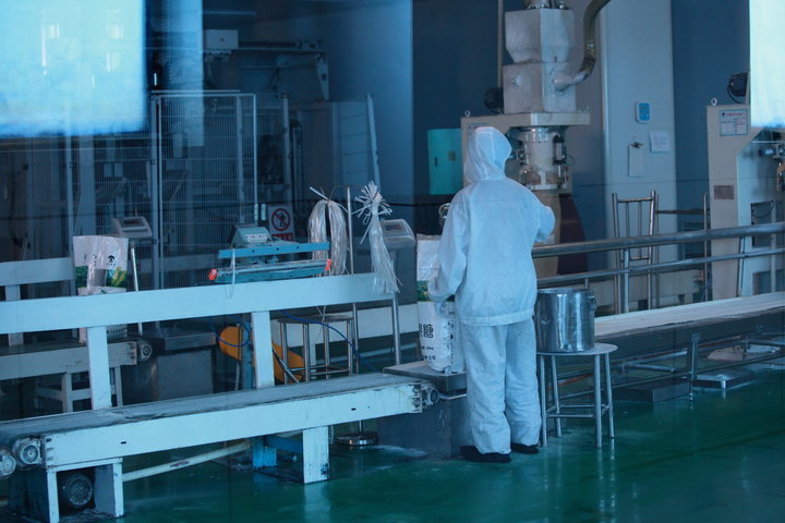 光影詩行 穆志忠鏡頭下的明湖水杉與輕工印象